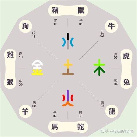 12生肖的五行